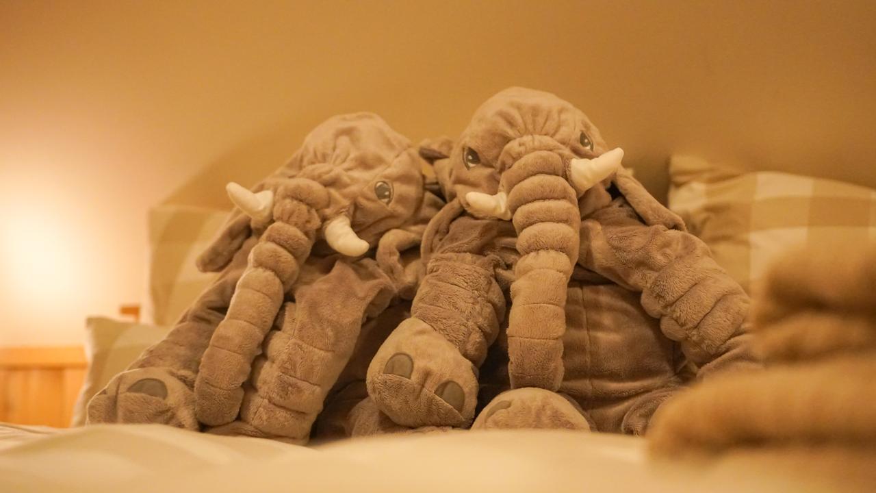 Residence Buffalo Špindlerŭv Mlýn Eksteriør billede